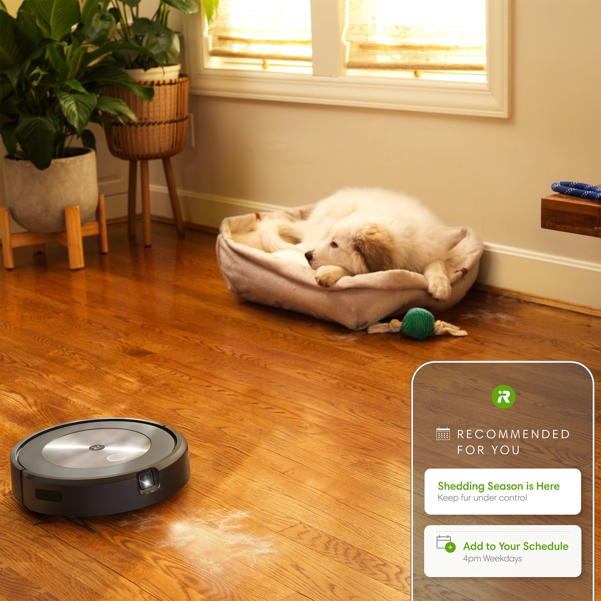 Wifi Connected Roomba® j7+ Self-Emptying Robot Vacuum